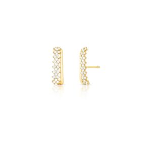 Brinco Ear Hook Zircônia Flores 2 Colunas